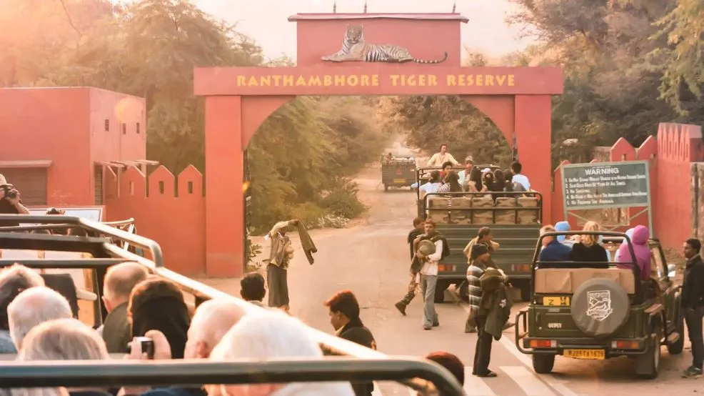 Top five reason to visit Ranthambore